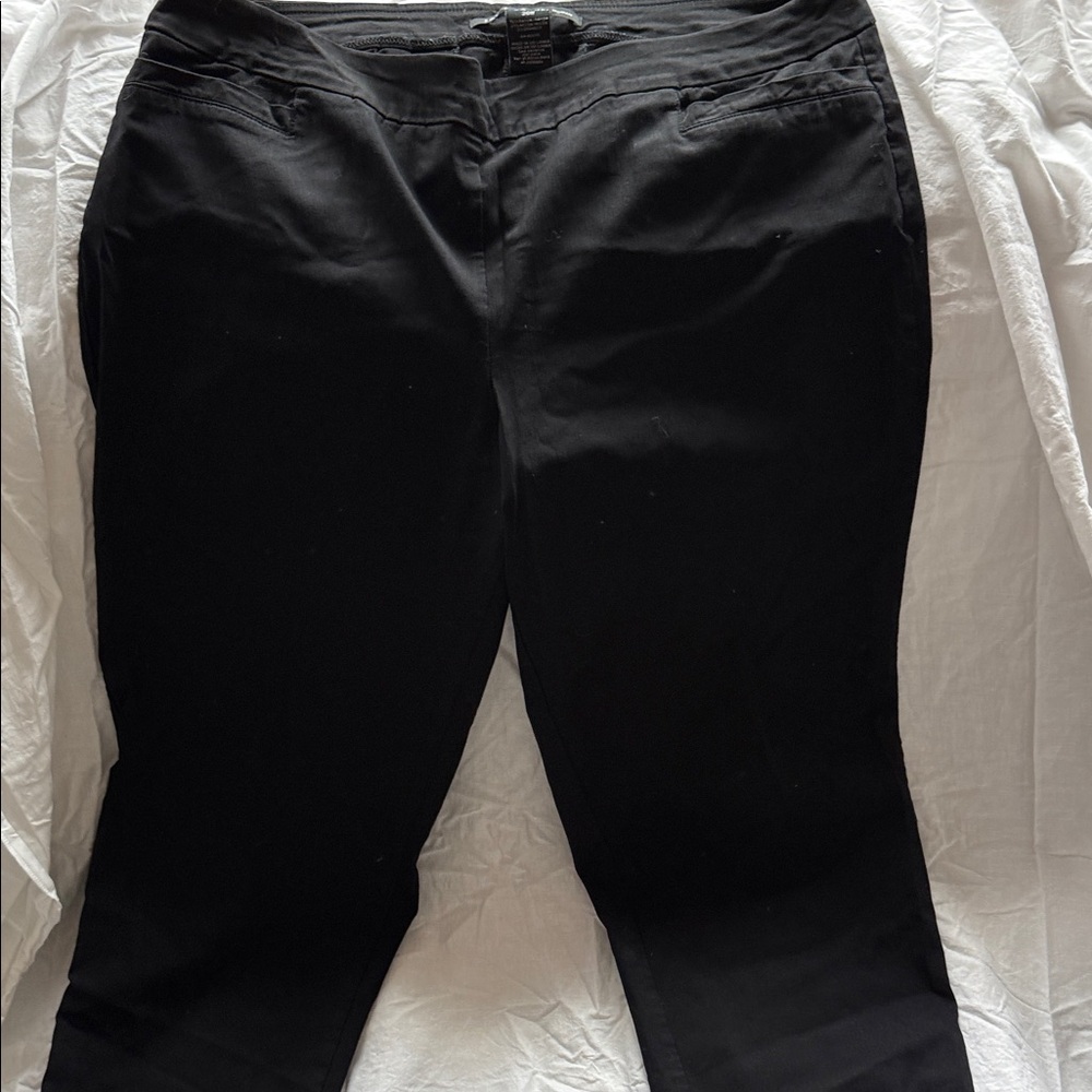 Zac & Rachel Black Women's Pants